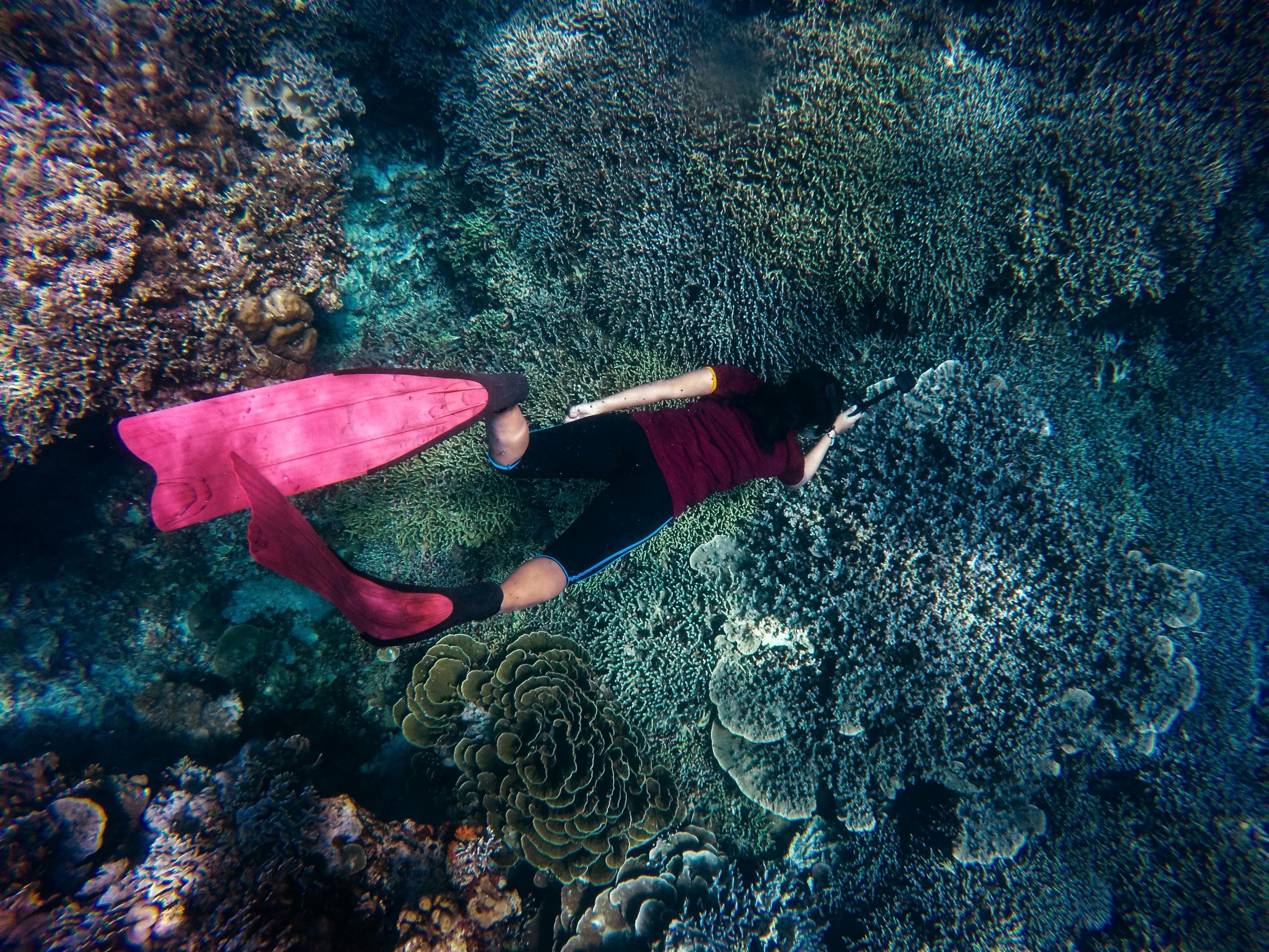 scuba dive in jamaica